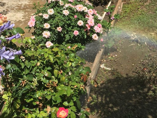 Garden Sprinkler Repair Services