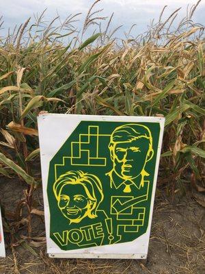 Cambria Corn Maze