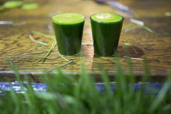 wheatgrass shot