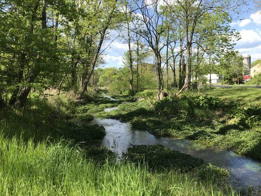 Nice view of Letort Spring Run at the end of the trail.