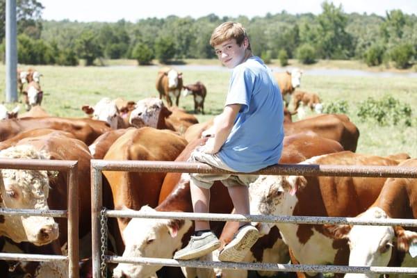 Arkansas Sheriffs' Youth Ranches