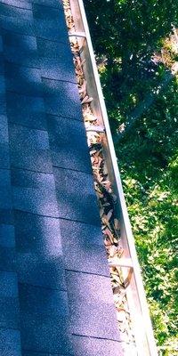 Gutter cleaning