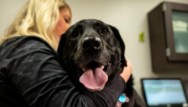 West Fargo Animal Hospital