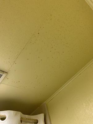 Bathroom ceiling