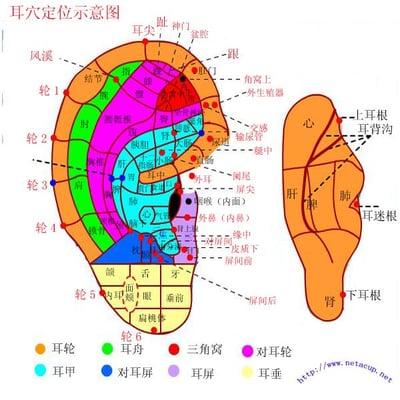 ear acupressure