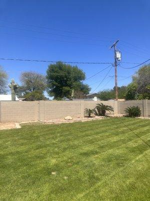 You can see the power lines and the cracks it caused in the fence.