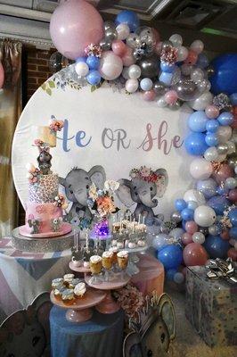 A little view of what we can do for you. Elephant gender reveal party