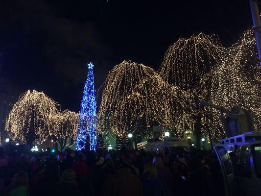 Holiday Lights - St. Paul