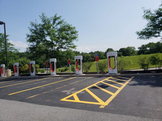 Abbys Doggone Gourmet Cookies were restocked here today and they now have TESLA charging stations!