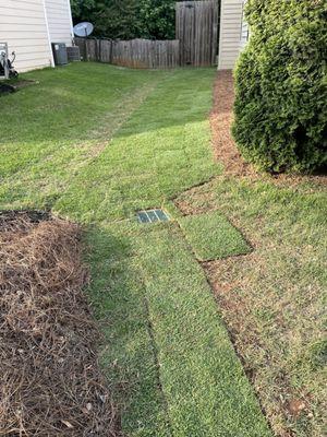 French drain install