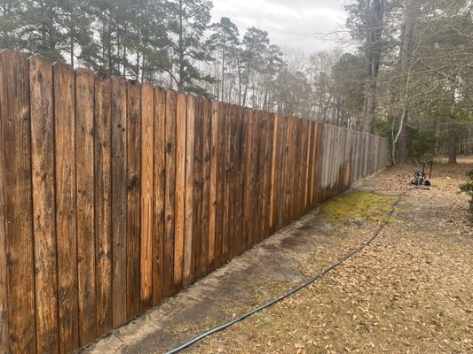 Pressure wash privacy fence..