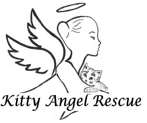 A 501(c)3 non-profit cat rescue and adoption organization