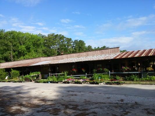 Great selection of plants and herbs!