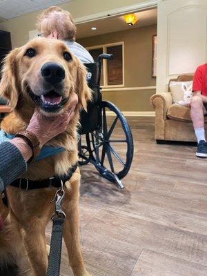 Champ (a therapy dog in training) visiting with residents at a retirement home.