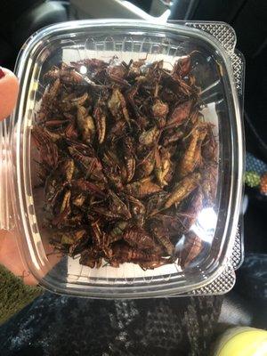 This is Chapulines