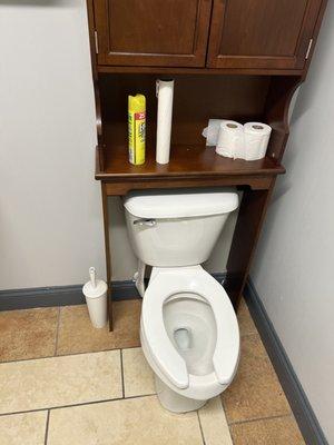 New toilet, install with cabinet shelves