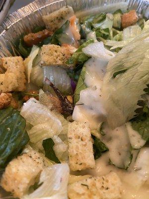 Caesar salad with huge fly