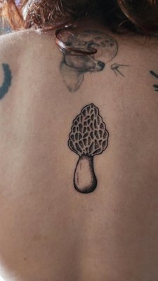 My lovely hand poked morel