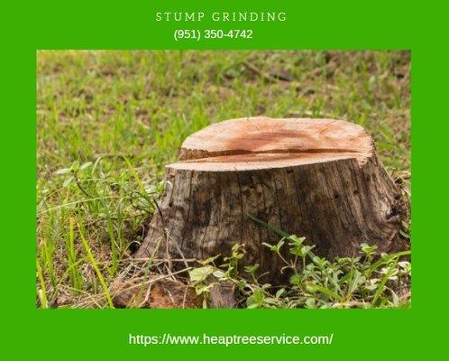 Stump Grinding