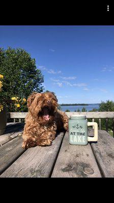 Everyone needs a little boost to stay awake while at the lake!