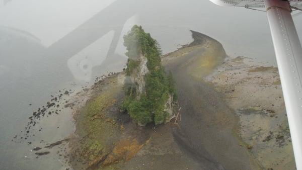 View of New Eddystone Rock from the plane.