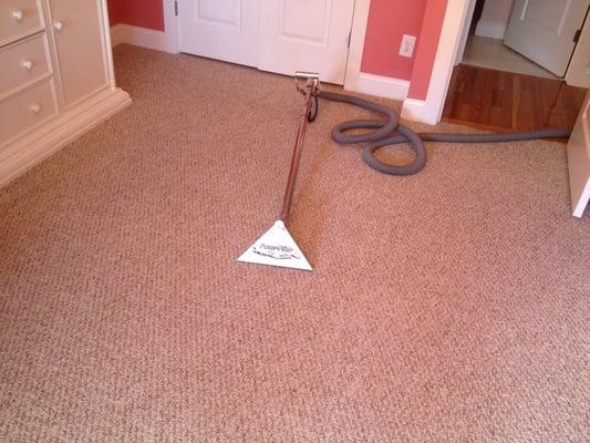 Berber carpet cleaning