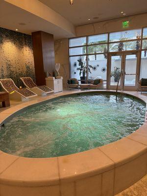 Interior pool and Jacuzzi