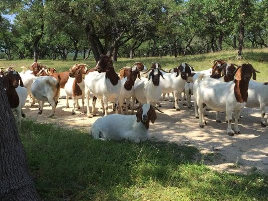 Rocking MJ Ranch Bed & Breakfast