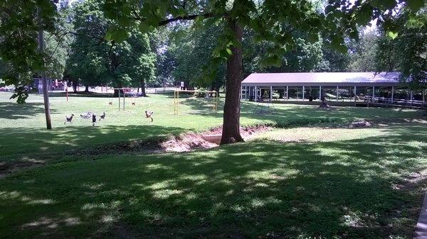 another playground and shelter