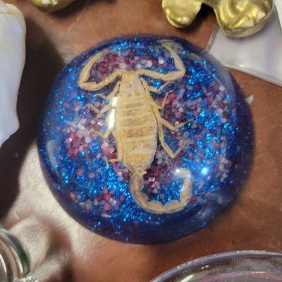 A couple scorpions under glass paperweights were here. I do like the blue bling to this one.