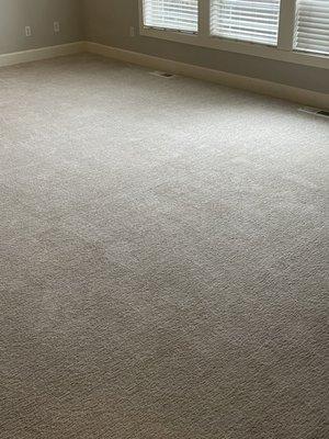 Carpet look brand new!!