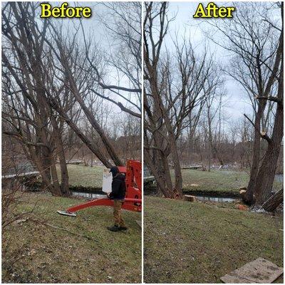 Satisfied Customer.

Removed fallen distrubing branches and trimming.