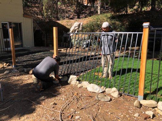 Took down fence panels before trimming to prevent damage.