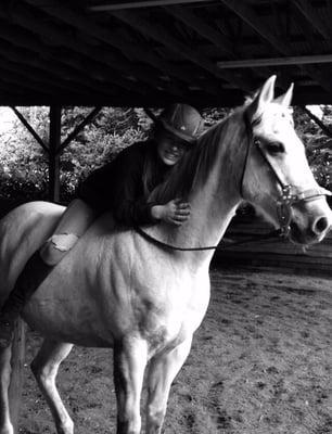 One of Maya's sweetest and most experienced horses: Griffin