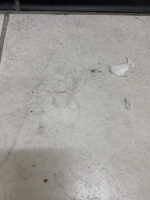 Filthy floors. Piles of human hair. Mold & mildew in the grout.