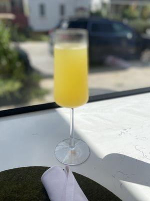 Mimosa