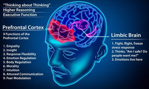 Neuromindly