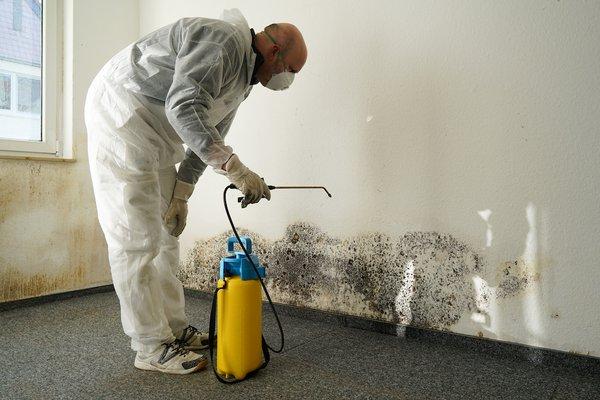 Mold Damage Remediation