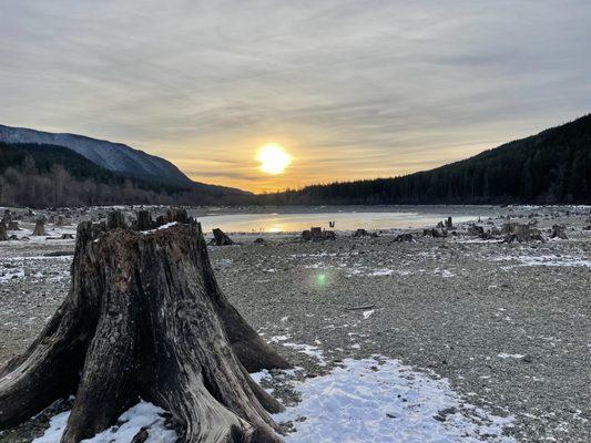 The lake is so low the stumps which usually are covered with water were completely exposed!!