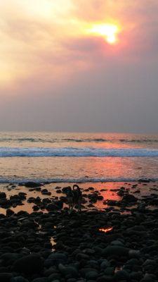 Beach Walk