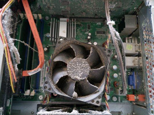 Any computer tower that I service will get a complementary cleaning.  Too much dust can cause your system to overheat.