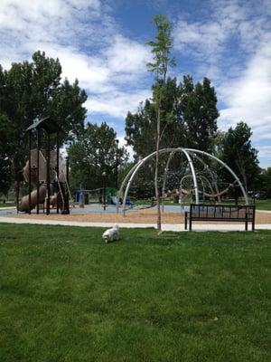 The newly renovated playground.