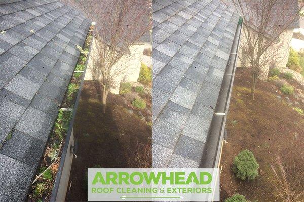 Roof Rain Gutter Cleaning Before & After