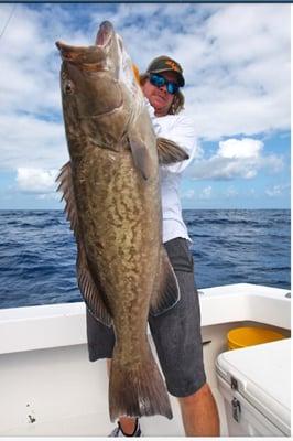 Big Grouper