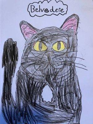 Belvedere the cat as seen by our junior volunteer Micah.