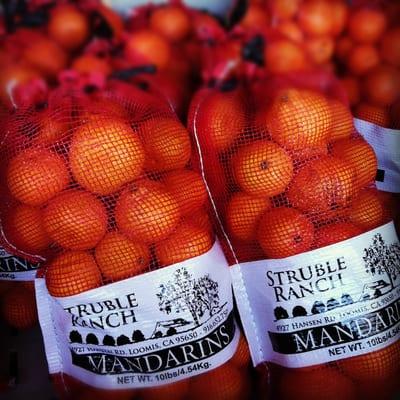 Struble Ranch Mandarins