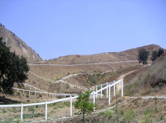 Pastures available to the horses.