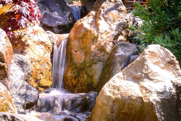 Pacific Pond & Waterfall