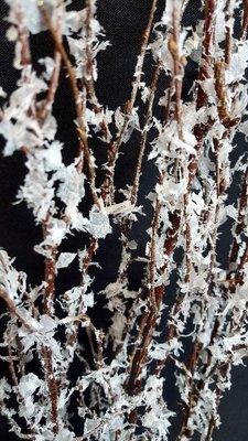 Opal Lace process on Natural Birch Branches