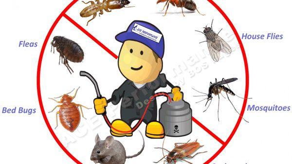 Ardent Pest Control